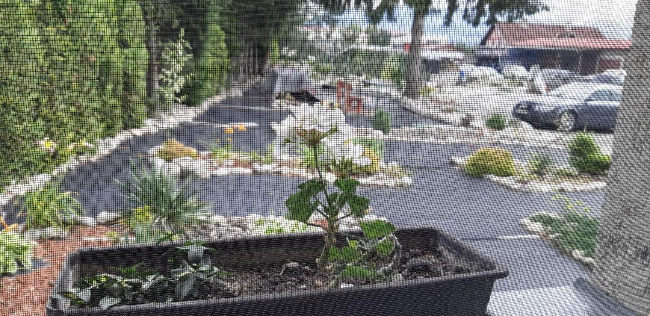 Apartman YVET Sucany Bagian luar foto